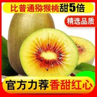 蒲江紅心獼猴桃30個(gè)當(dāng)季新鮮純甜水果現(xiàn)摘泥猴桃奇異果彌獼猴大果