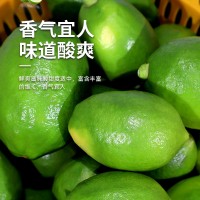 廣東香水檸檬果園現(xiàn)摘現(xiàn)發(fā)奶茶店專(zhuān)用批發(fā)一級(jí)果全國(guó)一件代發(fā)10斤