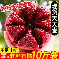 【現(xiàn)貨】突尼斯軟籽石榴新鮮水果10斤應(yīng)季四川會(huì)理軟子紅心無籽孕