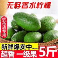 香水檸檬果閃電發(fā)貨海南無(wú)籽檸檬一級(jí)青檸檬薄皮廣東新鮮水果檸檬