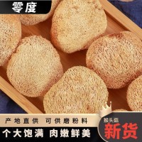 福建猴頭菇500g食用菌肉質(zhì)細煲湯食材菇干貨源頭廠家支持一件代發(fā)