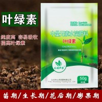 葉綠素氨基酸葉面肥壯棵提苗增厚增綠生根中量元素水溶肥料工廠直