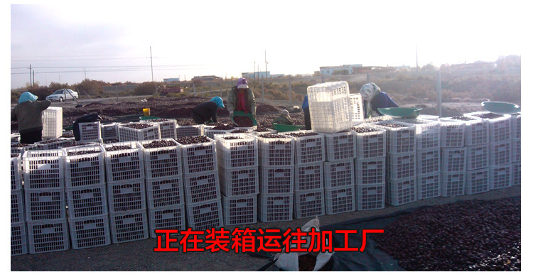 阿里巴巴二級(jí)和田大棗詳情-1_01_07