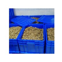 現(xiàn)貨白頭級(jí)核桃仁原味散裝核桃仁核百味孕婦零食核桃仁 可定制