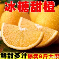 正宗冰糖橙10斤手剝橙子新鮮特級(jí)甜橙3當(dāng)季水果凍橙包郵云南玉溪