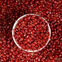 東北紅豆批發(fā)貨源代加工工廠定制紅小豆雜糧超市品質25kg中粒大粒
