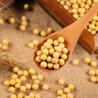 東北敦化產(chǎn)地黃豆批發(fā)源頭加工定制工廠雜糧商超品質黃豆大粒小粒