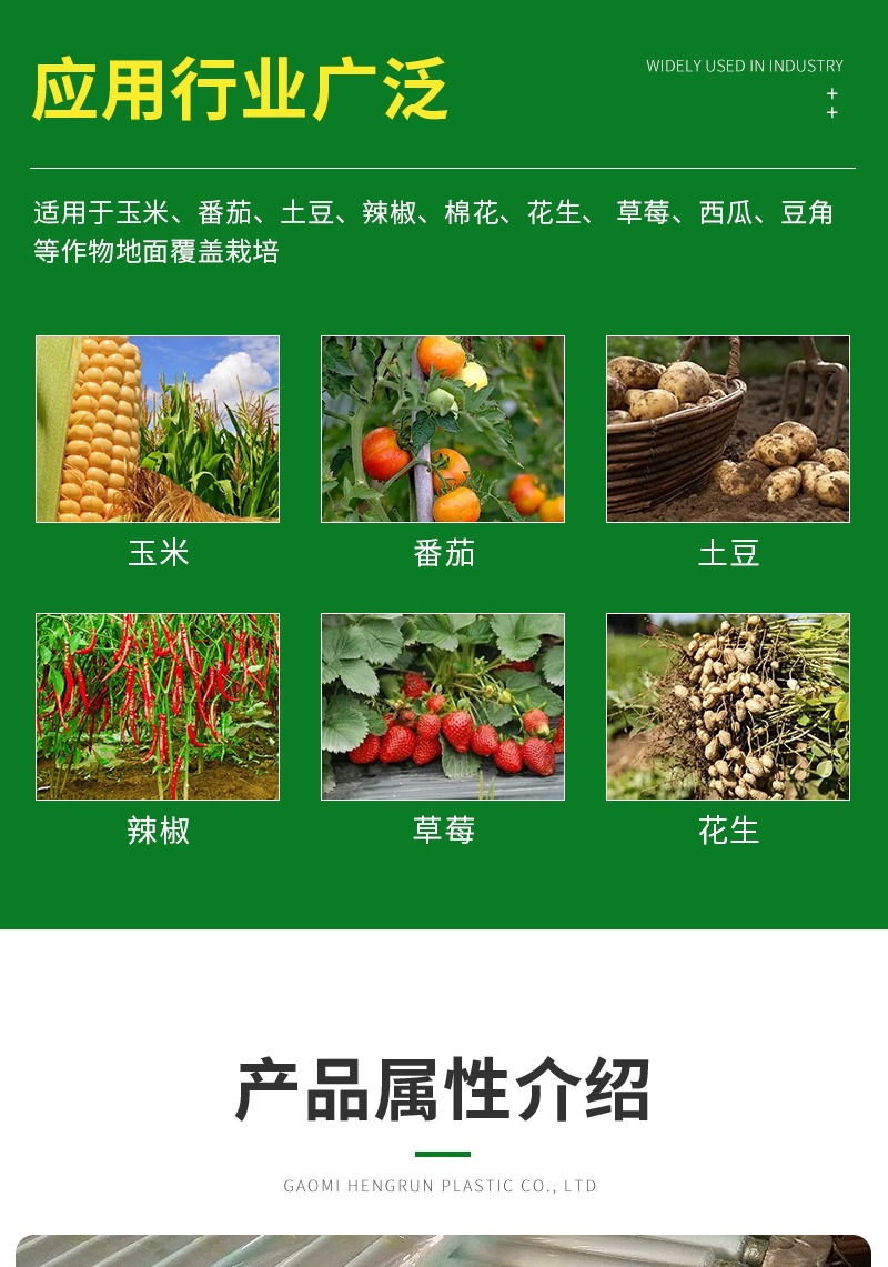 恒潤塑料詳情1——白地膜(3)_00