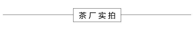 茶廠實(shí)拍(2)