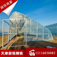 暖棚 養(yǎng)殖農(nóng)業(yè)大棚 溫室大棚設計圖紙蔬菜大棚暖棚熱浸鋅棚包安裝
