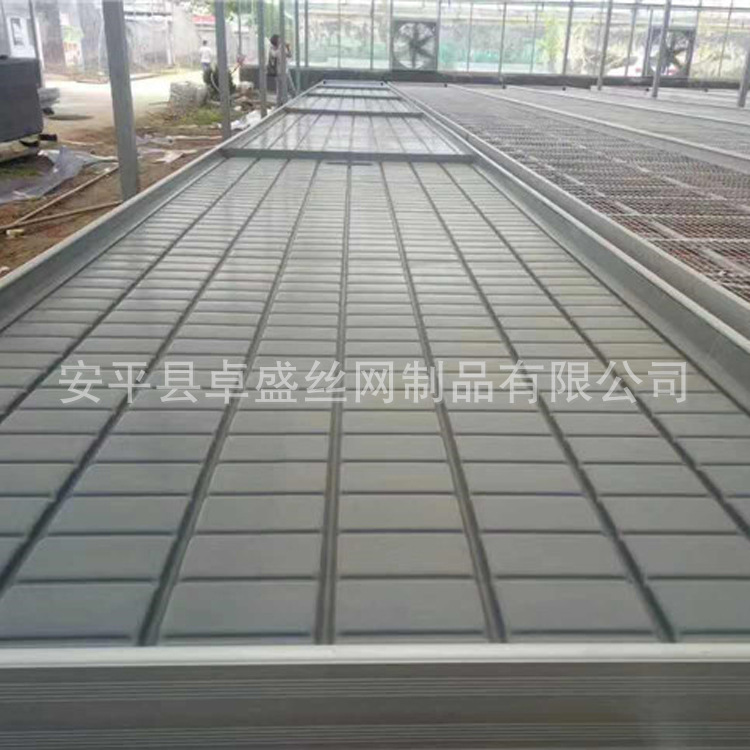 潮汐苗床 (2).jpg