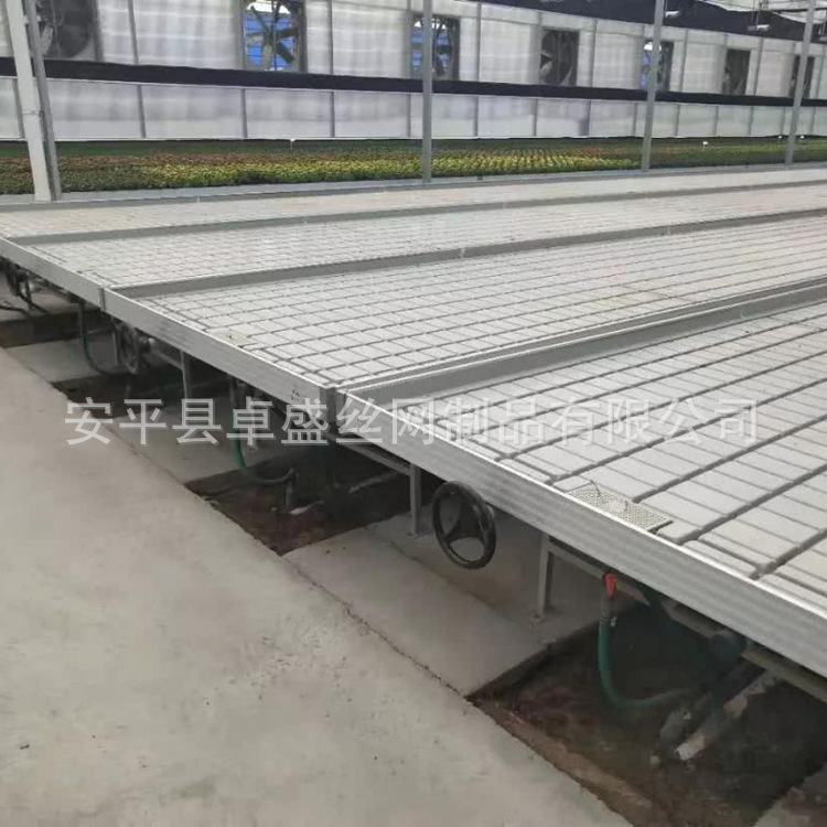 潮汐苗床 (8).jpg