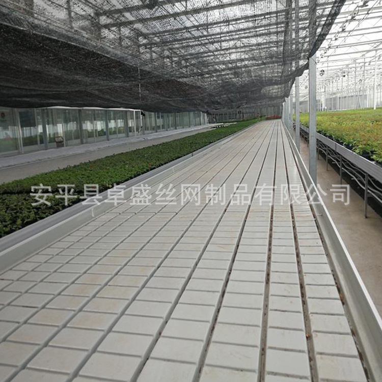 潮汐苗床 (6).jpg