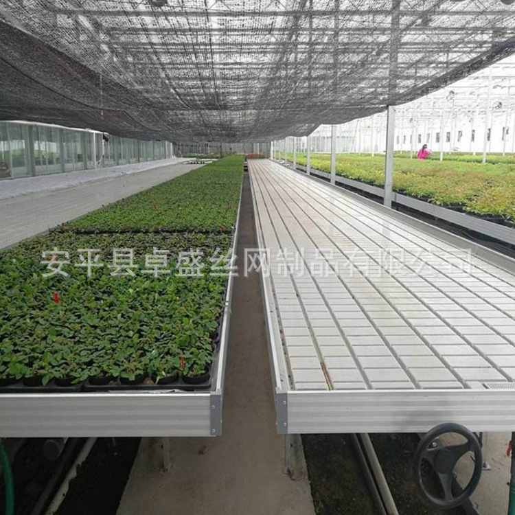 潮汐苗床 (1).jpg