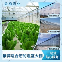 蔬菜大棚雞鴨鵝養(yǎng)殖大棚建設大棚骨架大棚配件連棟農(nóng)業(yè)種植大棚