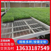 熱鍍鋅移動苗床 大棚溫室植物苗床 種植工藝花卉苗床育苗溫室苗床