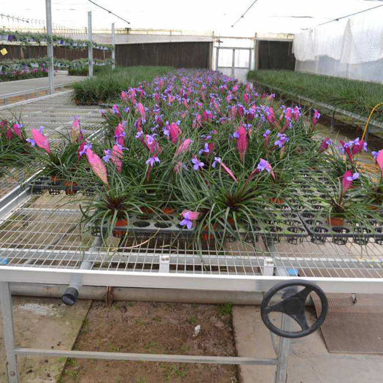移動(dòng)苗床 (4).jpg