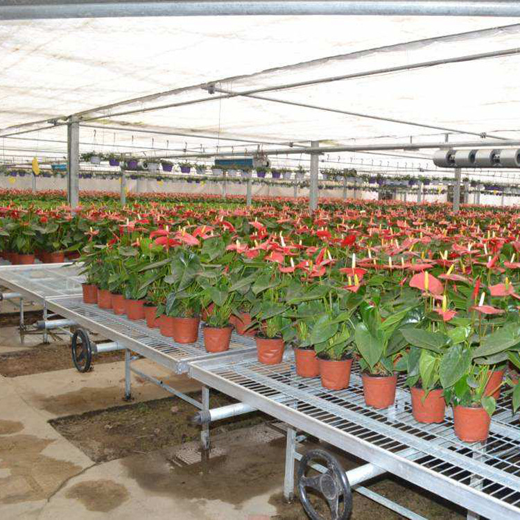 移動(dòng)苗床 (1).jpg