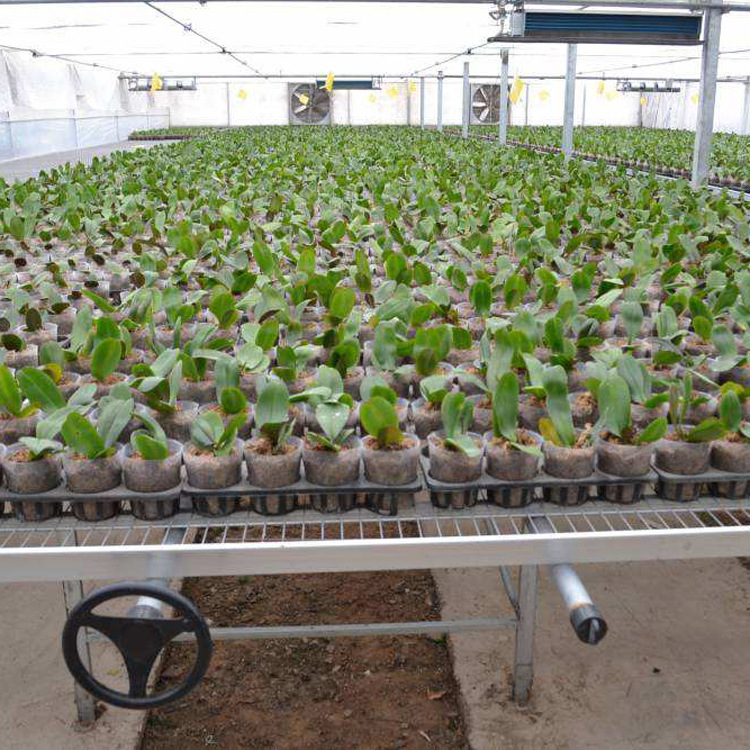 移動(dòng)苗床 (6).jpg