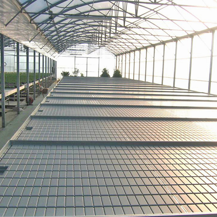 潮汐苗床 (4).jpg