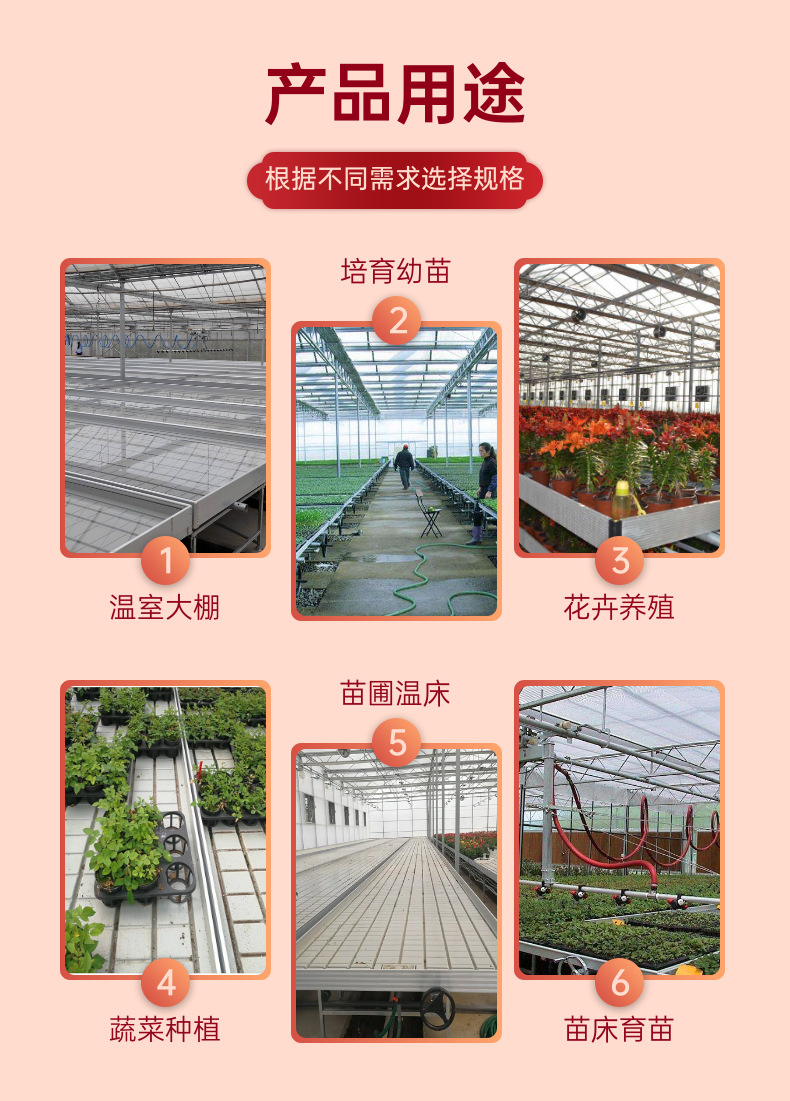 潮汐苗床 (5).png