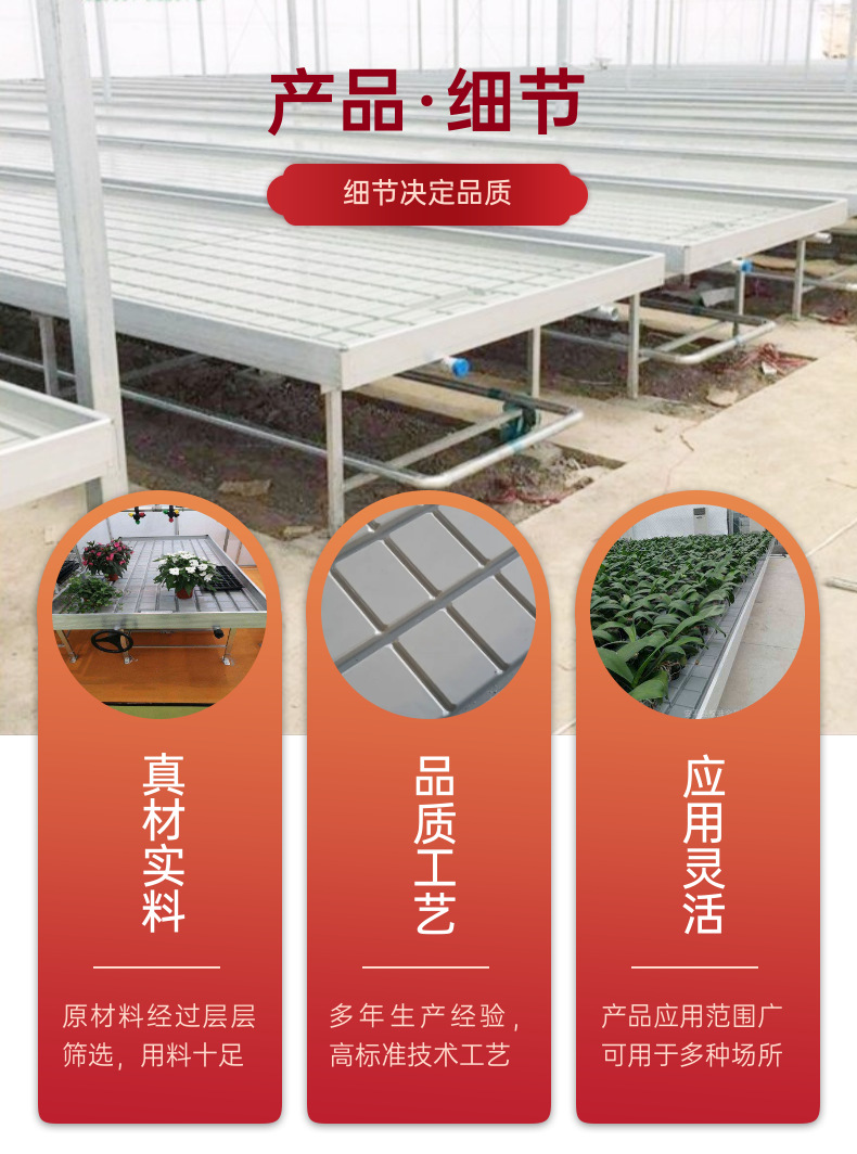 潮汐苗床 (4).png