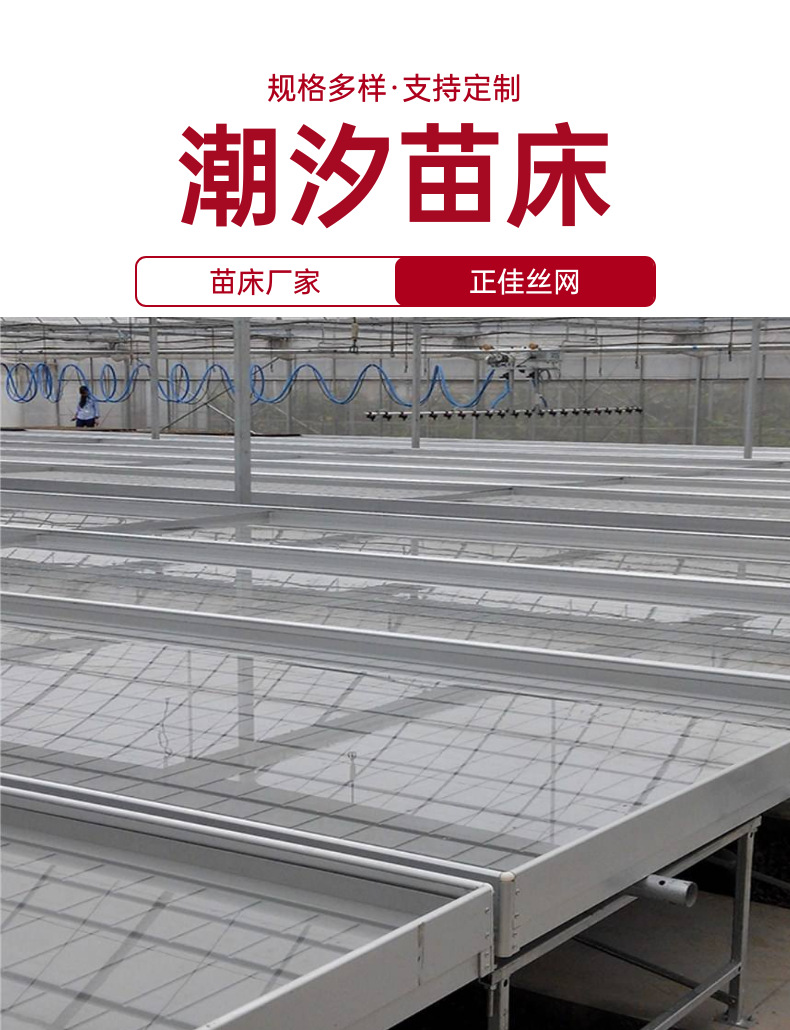 潮汐苗床 (2).png