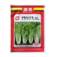 蔬菜種子公司供應(yīng)優(yōu)質(zhì)小白菜種子德高早熟長江5號快菜種耐熱耐濕