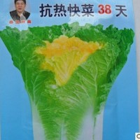 批發(fā)蔬菜快菜38天大白菜種子娃娃菜生長(zhǎng)期38--40天成熟10克裝