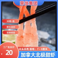 北極甜蝦 加拿大北極甜蝦 無(wú)殼即食日料 廠家發(fā)貨