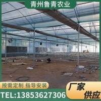 供應農(nóng)業(yè)大棚造價薄膜連棟大棚 玻璃溫室防蟲避雨棚葡萄連體大棚