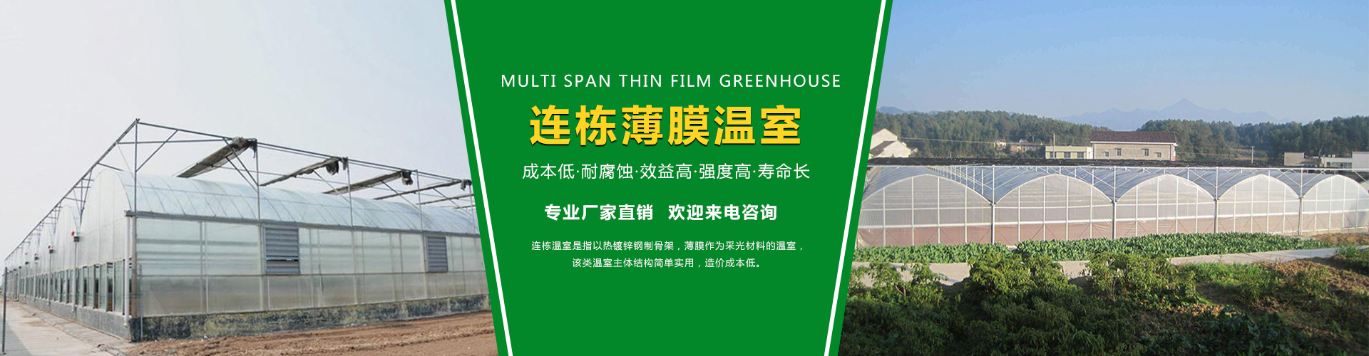 連棟薄膜溫室