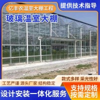 廠家供應玻璃溫室大棚 連體玻璃溫室農(nóng)業(yè)花卉種植溫室大棚 可上門