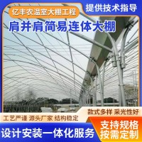肩并肩簡易連體大棚 農(nóng)業(yè)大棚連棟保溫簡易大棚 可設計安裝種植棚