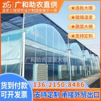 新型連棟溫室大棚農(nóng)業(yè)觀光智能養(yǎng)植栽培玻璃溫室建造簡易蔬菜棚