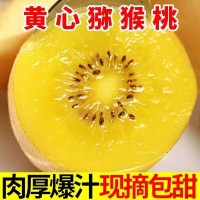 黃心奇異果獼猴桃水果新鮮采摘當(dāng)天發(fā)貨一件代發(fā)批發(fā)團(tuán)購
