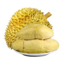 【新品】金枕榴蓮 當季水果軟糯香甜 多規(guī)格帶殼榴蓮整箱代發(fā)