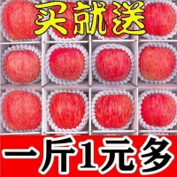 【精選】高山冰糖心紅富士蘋(píng)果水果新鮮脆甜特價(jià)多規(guī)格整箱批發(fā)