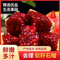 四川會(huì)理軟籽石榴突尼斯軟石榴果園先摘紅心軟石榴現(xiàn)貨批發(fā)