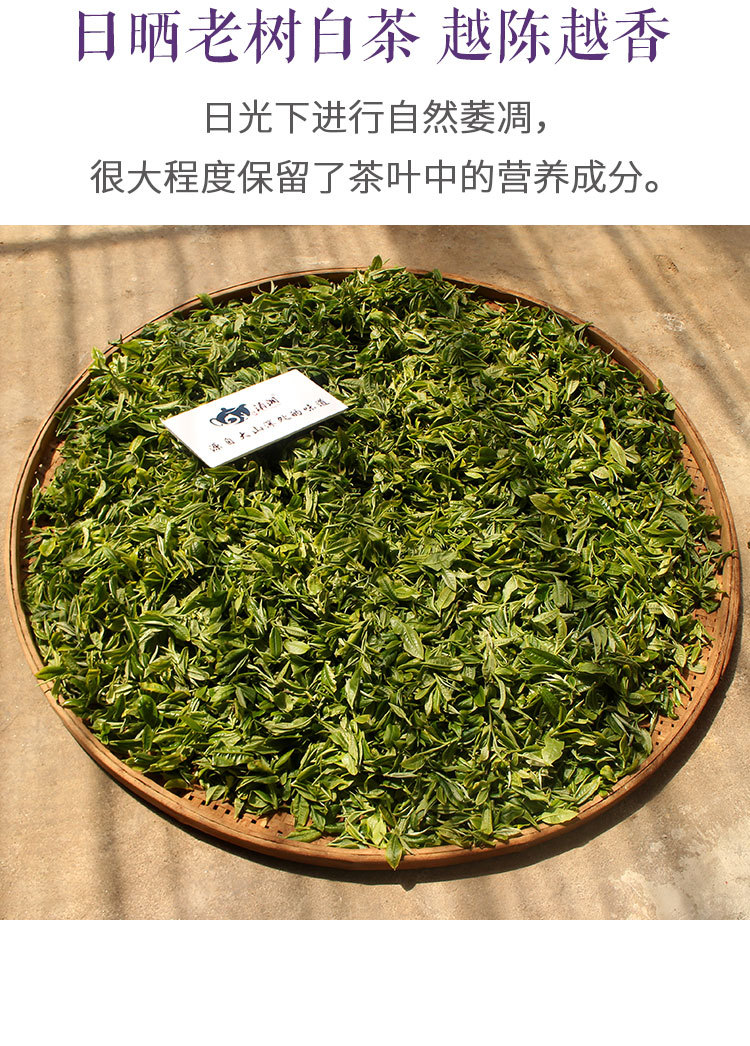 易武白茶詳情_03