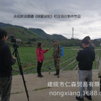 助力踏板施肥器（不配背包和桶，其他都配）