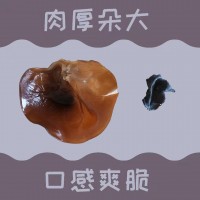 精選木耳批發(fā)甘肅農業(yè)特產干貨干木耳黑木耳包郵500g禮盒裝