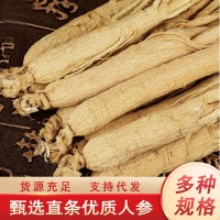 干人參長(zhǎng)白山生曬參全須白參整支原皮邊條參選貨整支規(guī)格齊全500g