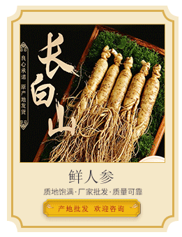 鮮人參導(dǎo)引