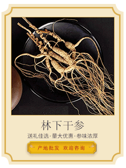 干林下參導(dǎo)引