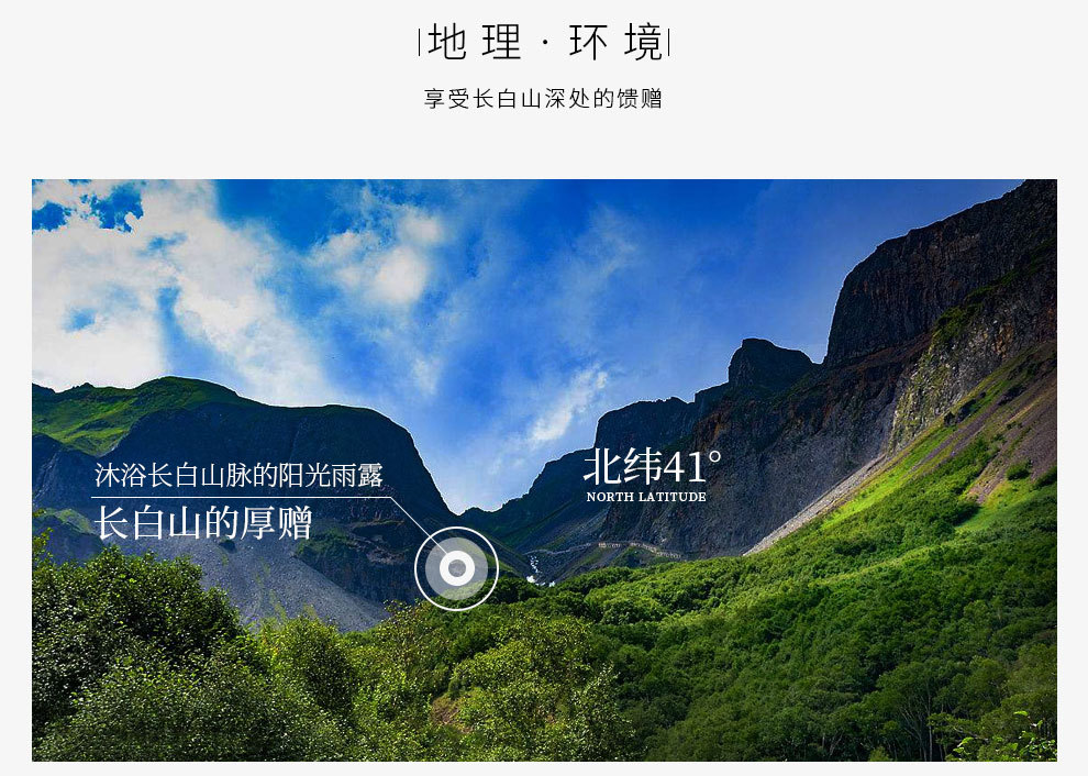 西洋參片導(dǎo)引