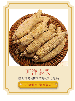 西洋參段導(dǎo)引