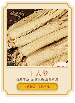 生曬參導(dǎo)引