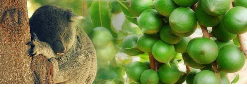 一件代  發(fā)業(yè)務(wù)2_03