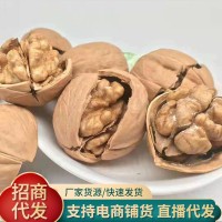 多種口味烤核桃薄皮奶香椒鹽多味熟薄皮核桃散裝堅(jiān)果批發(fā)零食